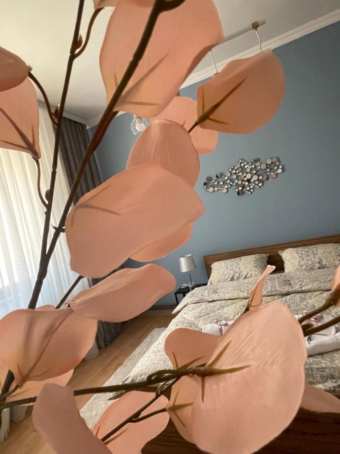 Apartman Tara Subotica Bagian luar foto