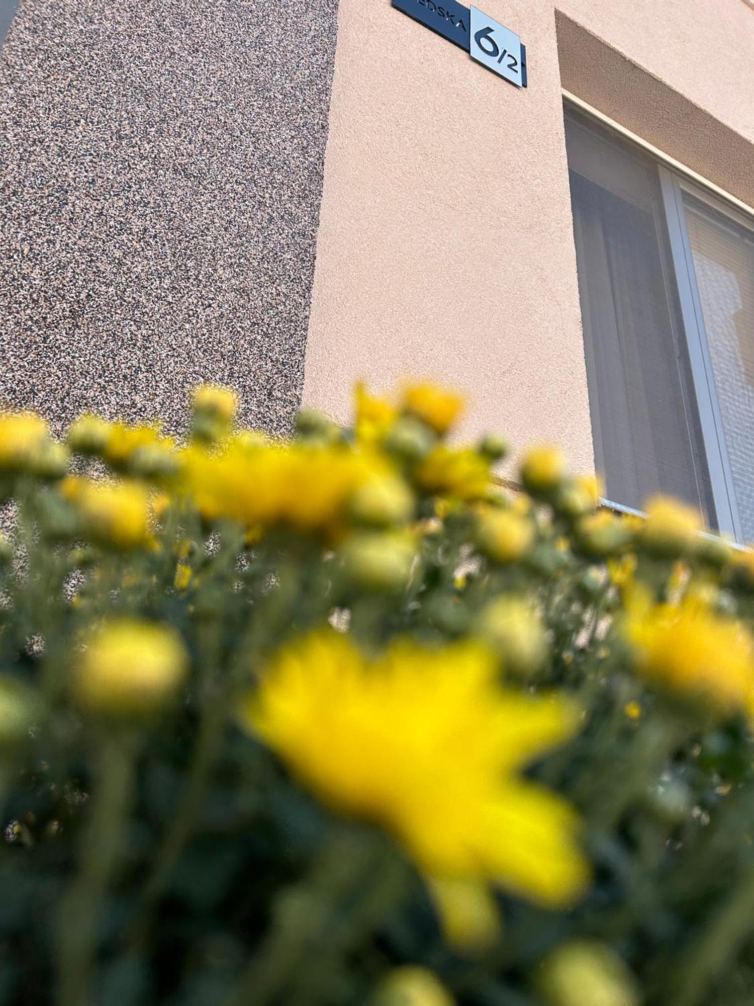 Apartman Tara Subotica Bagian luar foto