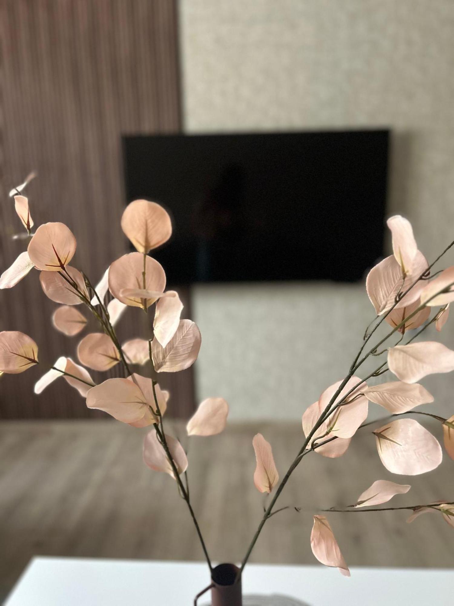 Apartman Tara Subotica Bagian luar foto